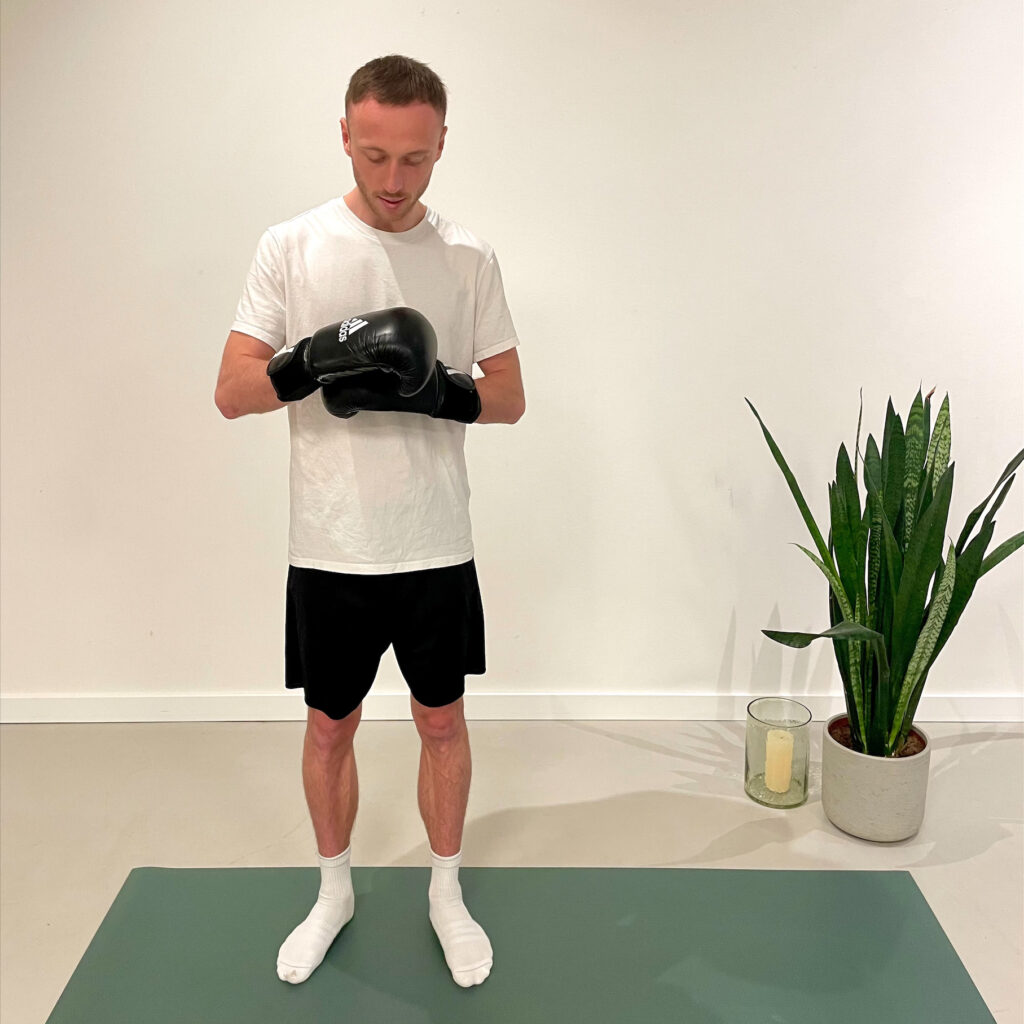 CEVIN
Box, Burn & Mobility